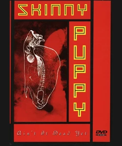 Ο ΤΙΜΩΡΟΣ