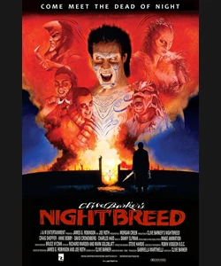 Η ΓΕΝΙΑ ΤΗΣ ΝΥΧΤΑΣ