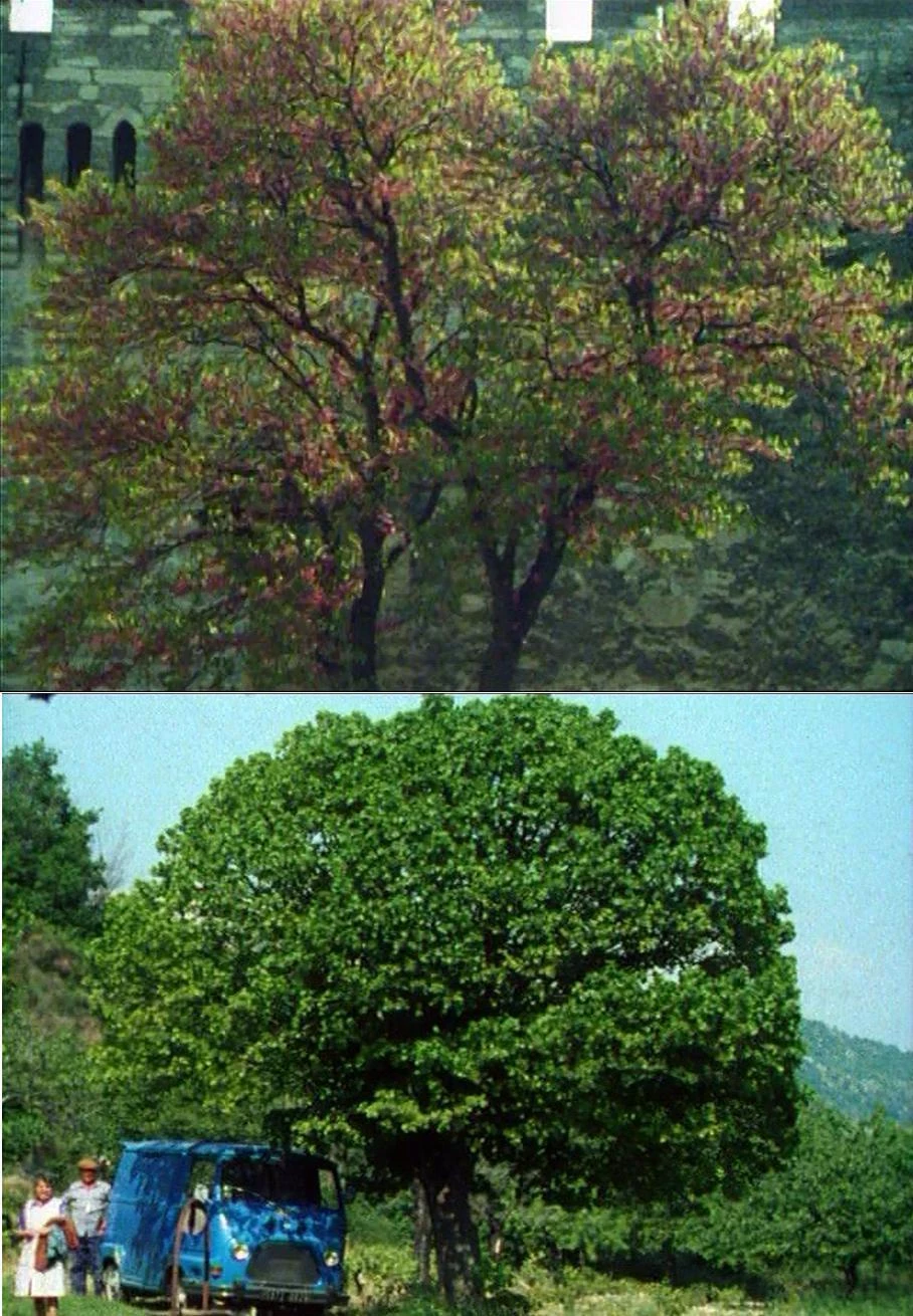 ΕΡΩΤΙΚΗ ΕΜΠΝΕΥΣΗ