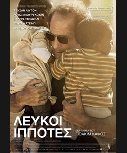 Λευκοί Ιππότες