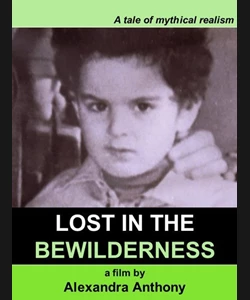 Lost in the Bewilderness