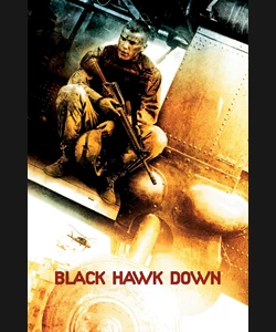 Μαύρο Γεράκι: Η Κατάρριψη