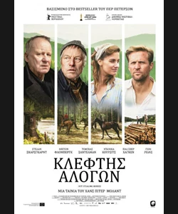 Κλέφτης Αλόγων