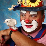 Μαγική αυλή