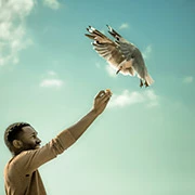 Fast Forward Festival 4