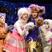 Ο κήπος με τις έντεκα γάτες