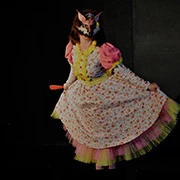 Κατακλυσμός