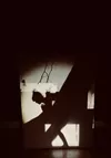 Hikaru - ακτίνα φωτός