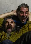 Άνθρωποι και ποντίκια