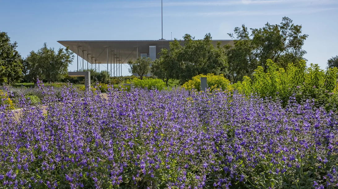 Πρωτομαγιά στο ΚΠΙΣΝ με μουσική, χορό και ανοιξιάτικες δραστηριότητες για όλους