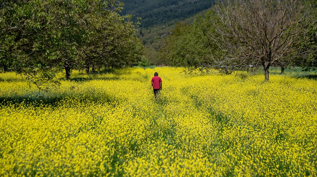 Στο "Σπόρο", οι άνθρωποι μεταμορφώνουν τους τόπους τους