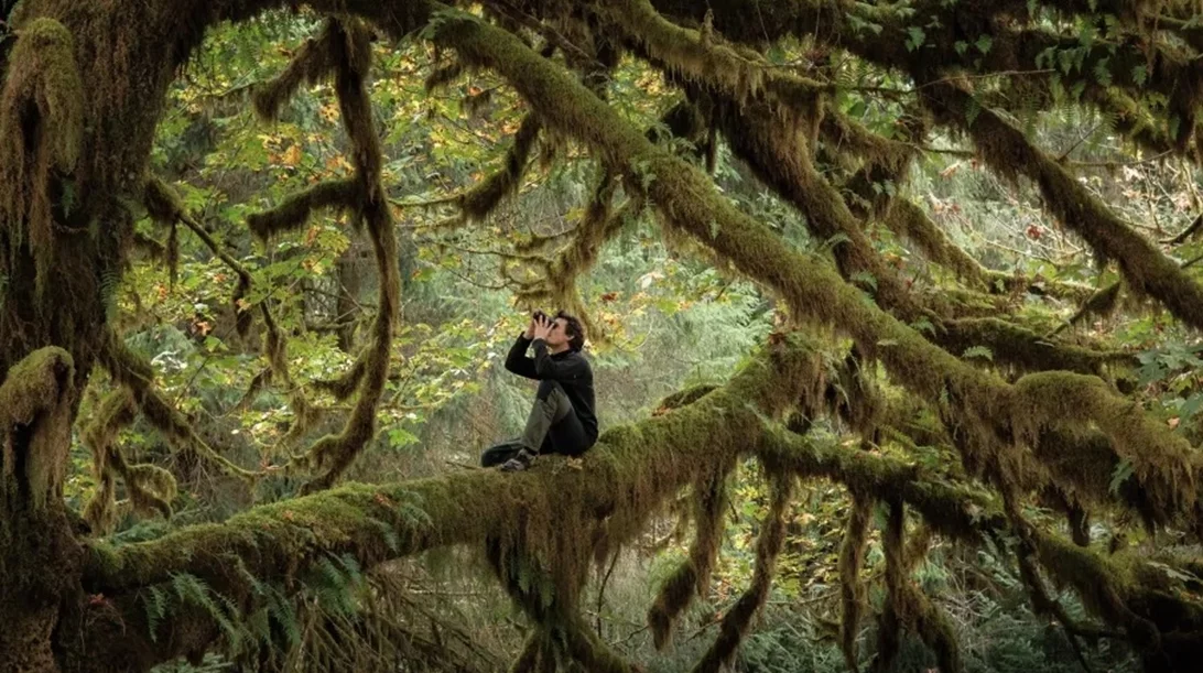 Το Τραγούδι του Δάσους