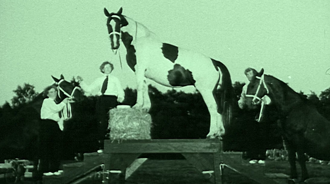 Για την Έλια Καλογιάννη "κάποιες φορές, η εκδίκηση από τη μεριά της φύσης έρχεται ως λύτρωση"