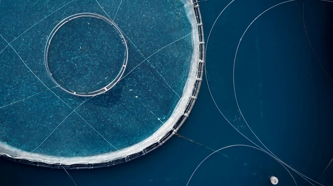 Προβολέας στη βιώσιμη ιχθυοκαλλιέργεια από τα Βραβεία Ελληνικής Κουζίνας