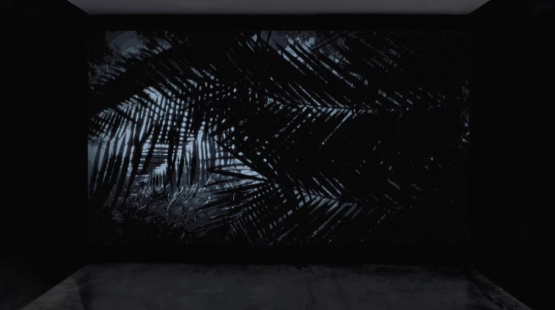 "Witness Lines": Ένα πρότζεκτ για την καταπολέμηση της κοινωνικής αδικίας στο State of Concept