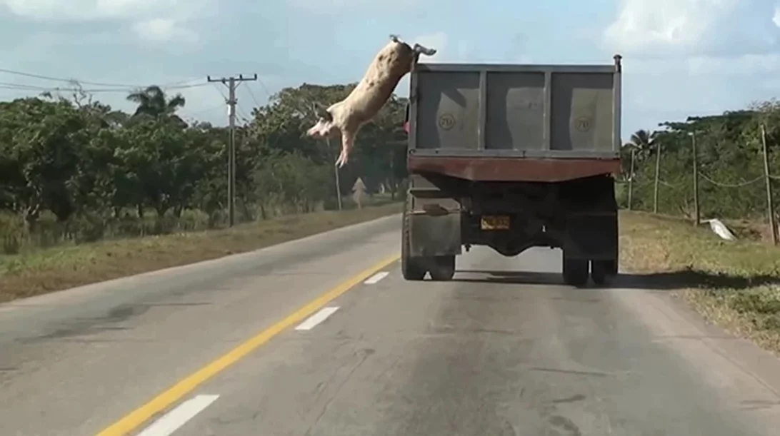 Αφού υπάρχει το ΕΜΣΤ, τι χρειάζεστε…