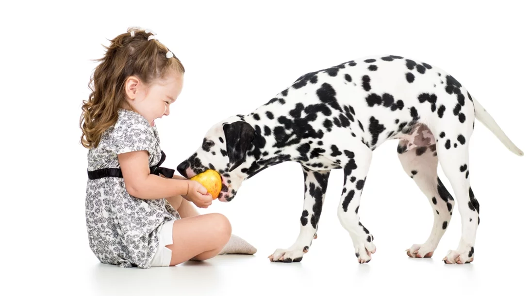 Ασφαλής σχέση με τα ζώα: Οδηγός πρόληψης ατυχημάτων για παιδιά
