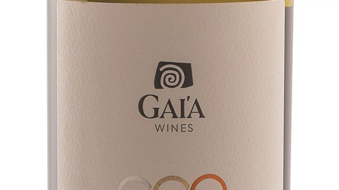 ΑΣΥΡΤΙΚΟ ΤΗΣ ΓΑΙΑΣ WILD FERMENT