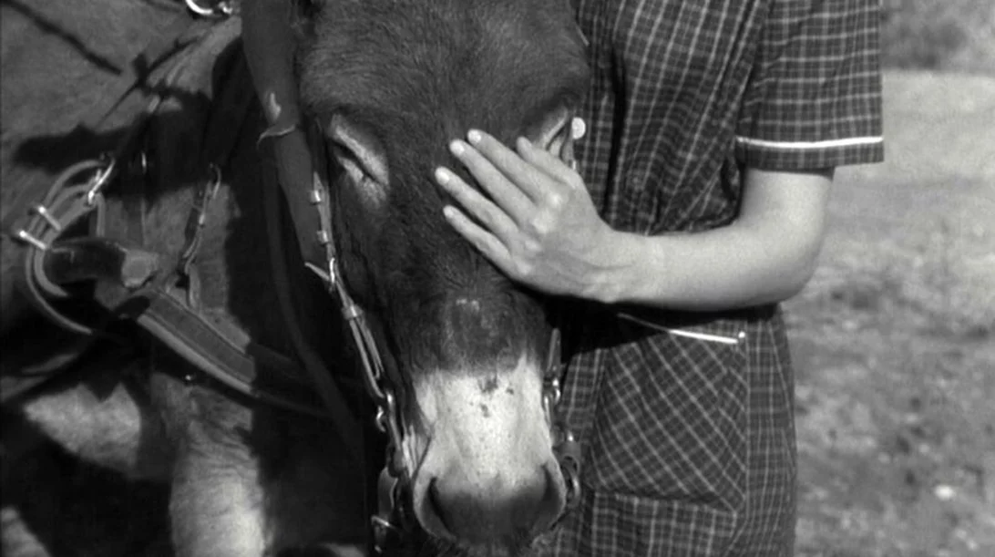 Απόψε (27/9) στην TV: Παρέα με Μπρεσόν και Κρόνερμπεργκ