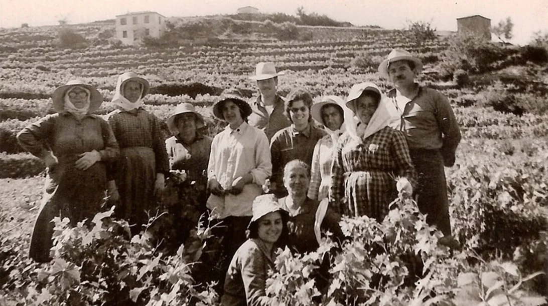 Σάμος: O τρύγος της καρδιάς στο νησί του μοσχάτου