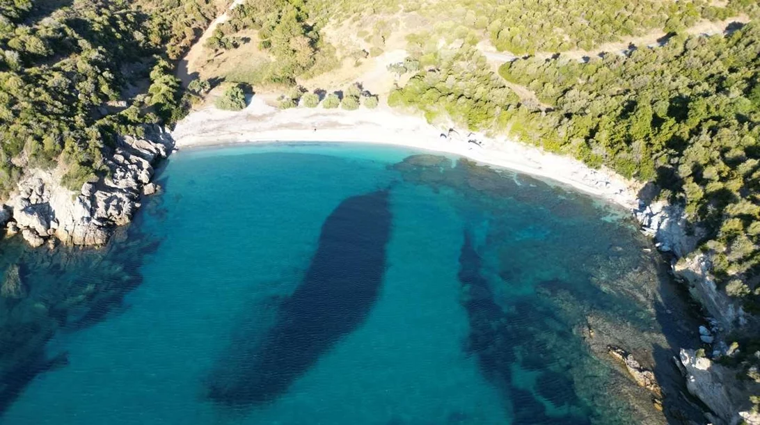 Λένε πως σε αυτή την παραλία της Εύβοιας που δεν έχει ποτέ κύμα
