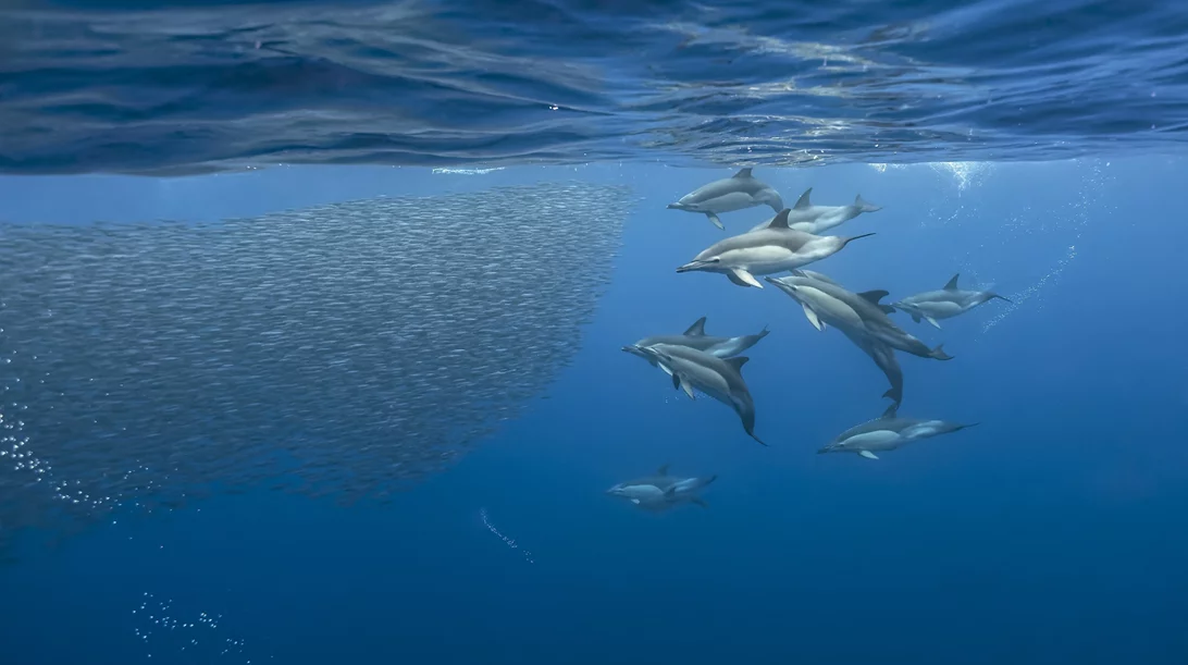 Μεσόγειος: Πολιορκημένη Θάλασσα