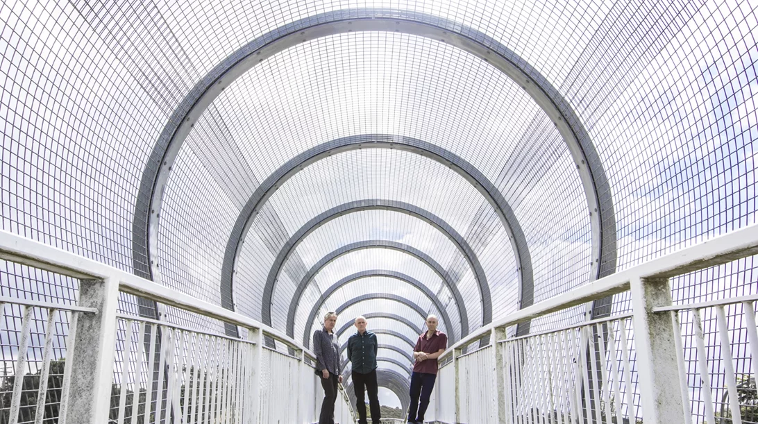 Μια μυσταγωγική βραδιά με τους The Necks: Mουσική, βινύλια και ντοκιμαντέρ στο Ωδείο Αθηνών