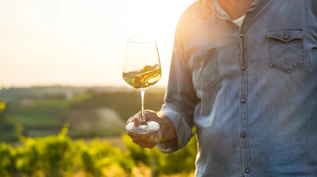 Το Great Greek Wines επιστρέφει δυναμικά το 2025