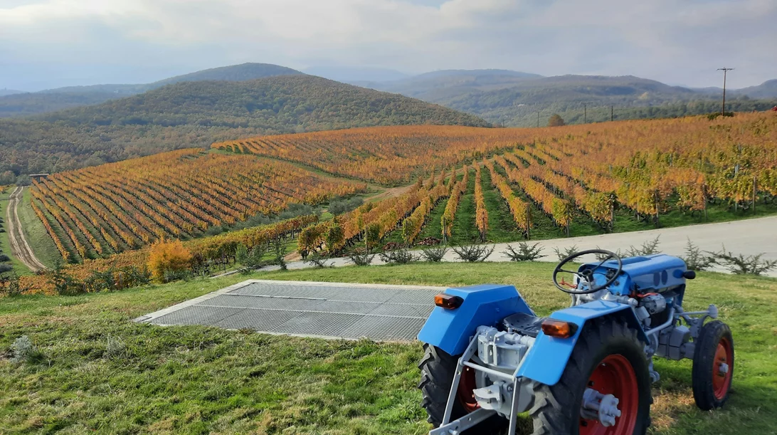5+1 παραγωγοί από την ταλαιπωρημένη ύπαιθρο που αξίζουν την προσοχή σας
