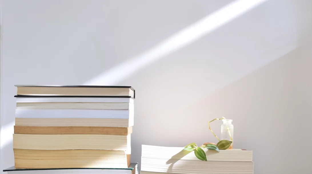 "Πού πάσχει το ελληνικό μυθιστόρημα;": Μία συζήτηση με τον Δημοσθένη Κούρτοβικ για την ελληνική λογοτεχνία (μέρος β)