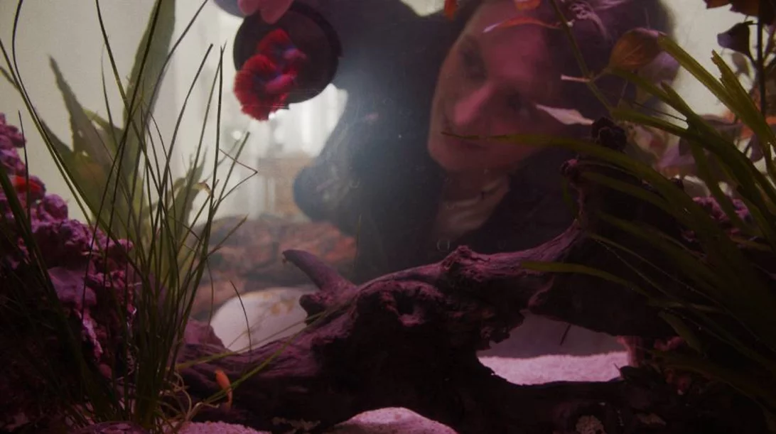 Ελληνικό και ευρωπαϊκό σινεμά στο επίκεντρο του φεστιβάλ Petit Plan: Europa III