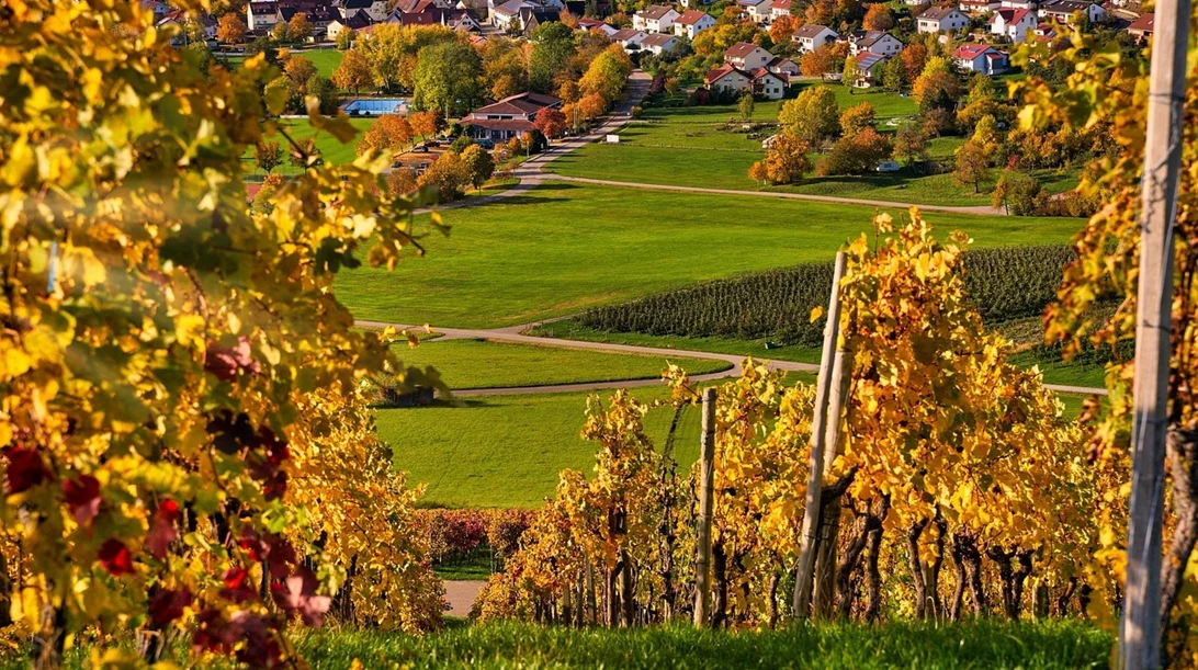 Orbis Vini: Για πρώτη φορά στην Ελλάδα μία έκθεση αφιερωμένη στα "κρασιά του κόσμου"