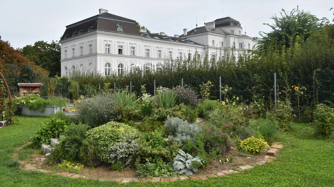 Το γαστρονομικό case study της Βιέννης που φιλοδοξεί να μετατραπεί σε μια από τις πιο βιώσιμες ευρωπαϊκές πόλεις