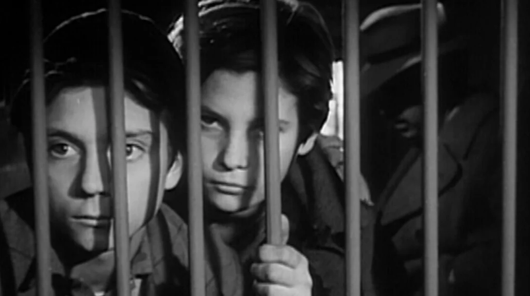 Λούστρο Παπουτσιών