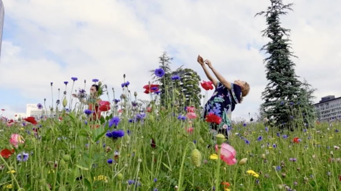 "ΦΥ-ΣΙ-ΚΙΝΗΣΗ": Συνδυάζοντας τον χορό και την κίνηση με την κατανόηση της έρευνας και των φυσικών επιστημών