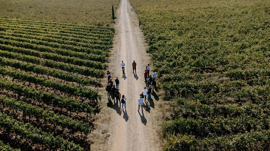 Οι Mantinians βάζουν σε πρώτο πλάνο τον αμπελώνα της Μαντινείας