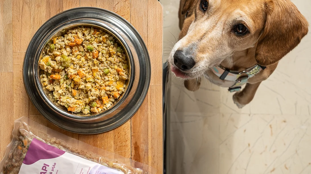 Οι υπερτροφές δεν ωφελούν μόνο εσένα, αλλά και το σκύλο σου - Και θα τις βρεις στο μαγειρευτό φαγητό για το κατοικίδιό σου