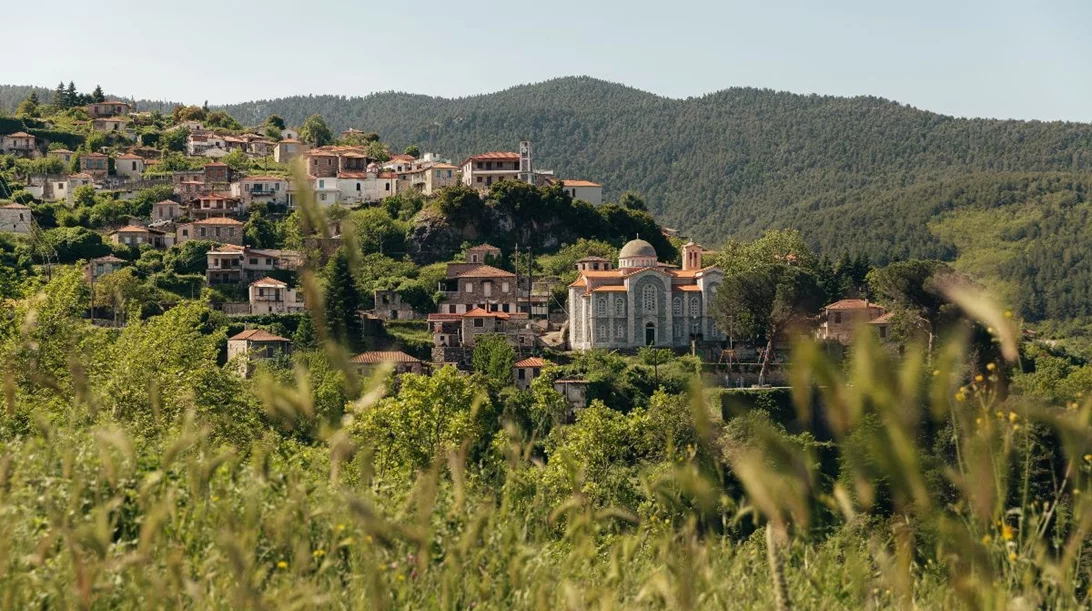 Αύγουστος γεμάτος εκπλήξεις στη Βαμβακού Λακωνίας