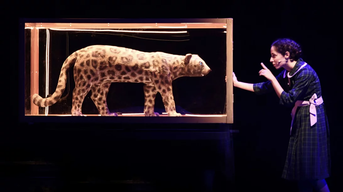 Το θρυλικό "Καπλάνι της Βιτρίνας" συνεχίζει την επιτυχημένη του πορεία στο Ίδρυμα Μιχάλης Κακογιάννης!