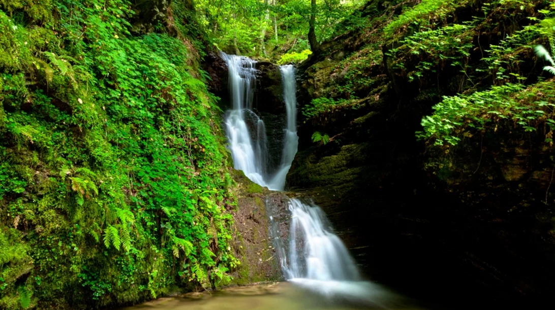 Γιορτή γεύσεων και φύσης στο Ελατοχώρι