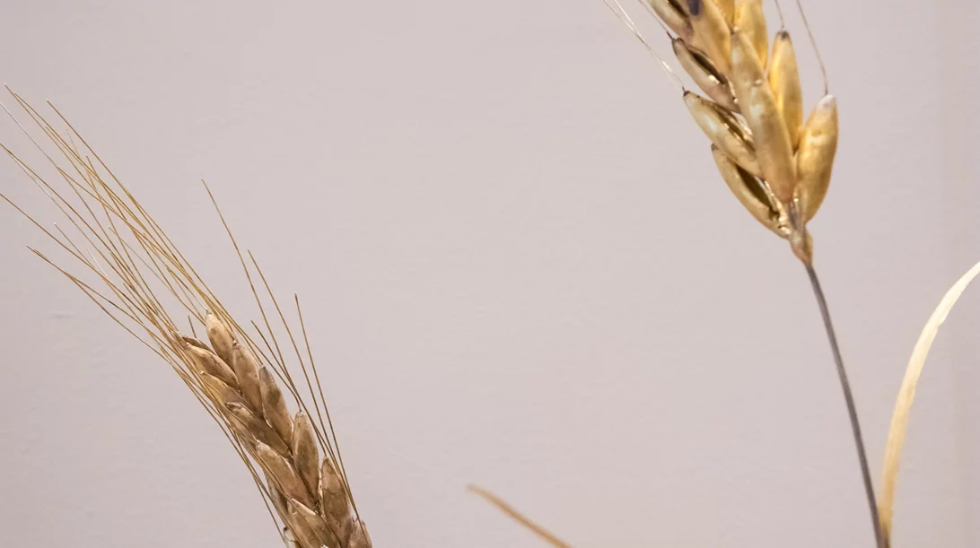 "Τα Αμάραντα", μια έκθεση λυρικής φυσιολατρίας στην καρδιά της πόλης