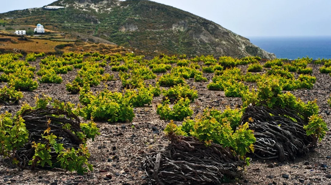 Πώς η άυλη πολιτιστική κληρονομιά θα περάσει στα εστιατόρια;