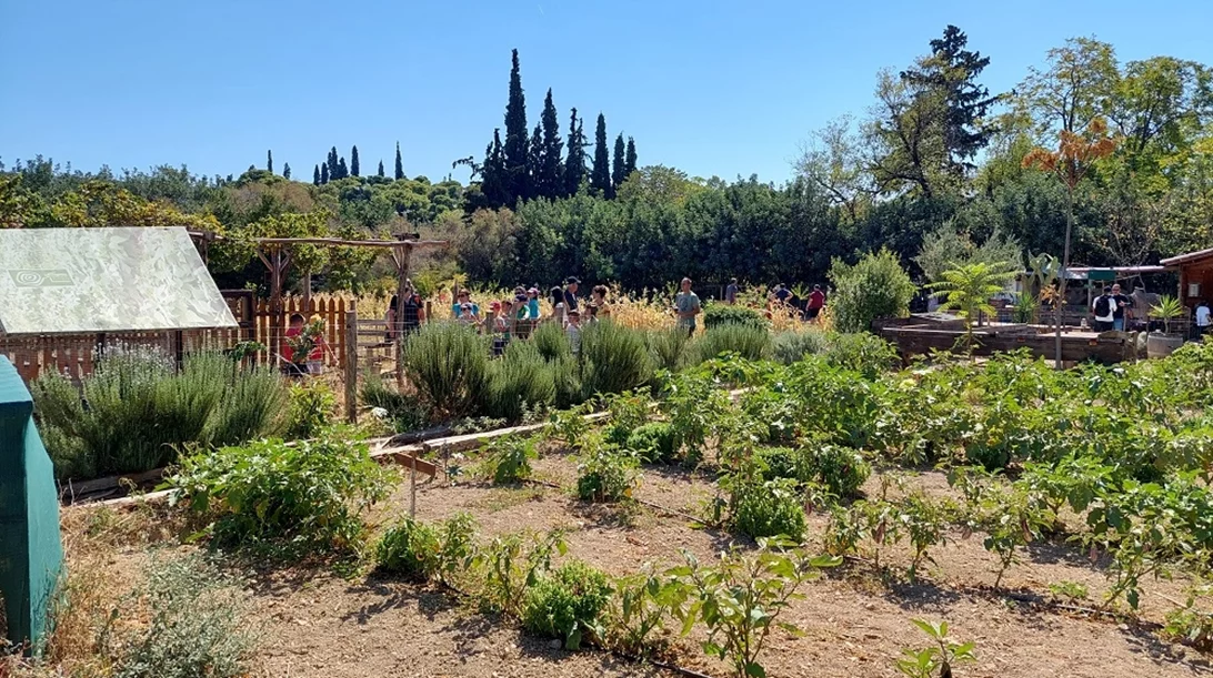 Οι φάρμες της Δυτικής Αττικής με το βλέμμα στραμμένο στη βιώσιμη καλλιέργεια