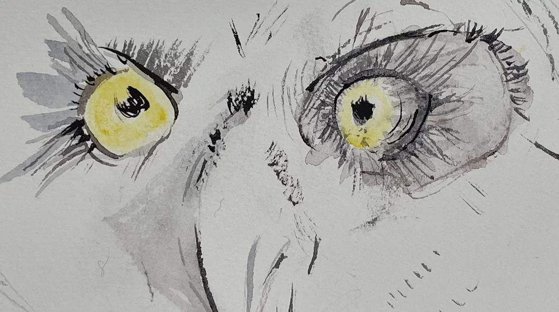 "Τελετουργίες για τον Νέο Κόσμο": Ένα αστικό φεστιβάλ ξεφυτρώνει στο Τέρας