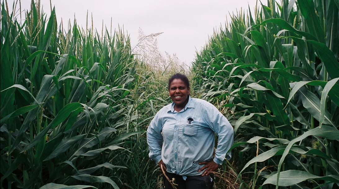 Μπήκαμε στο "Άβατο" των "Μαύρων του κάμπου" και των Latent Community