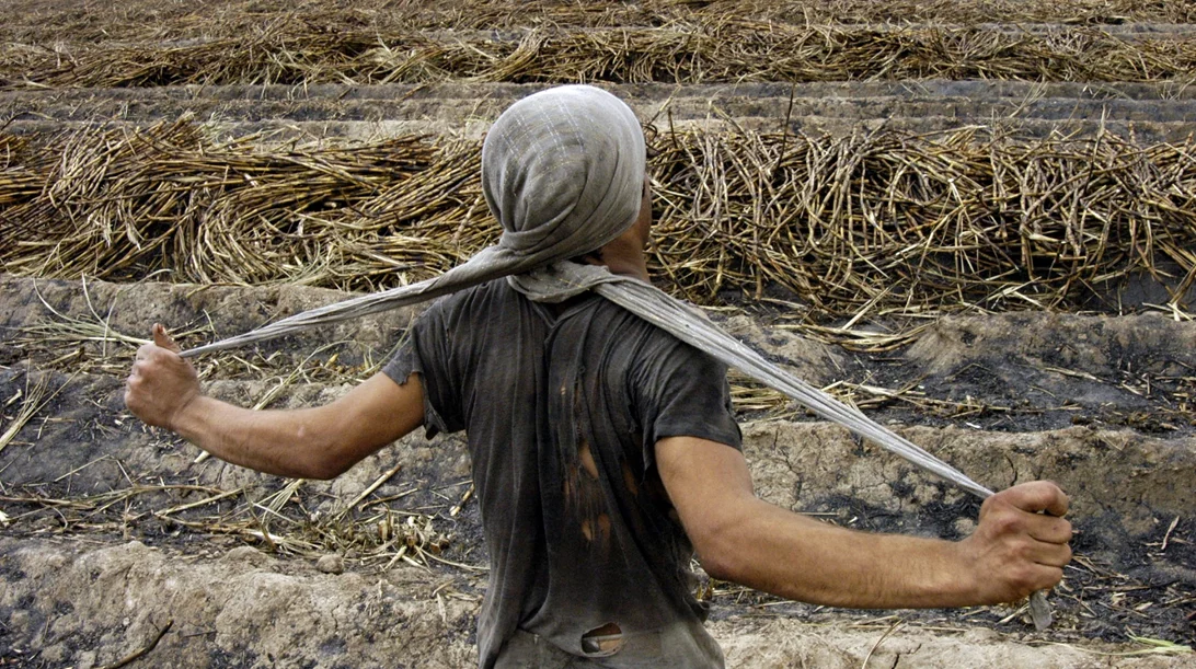 Όλα όσα θα δούμε στην 8η Μπιενάλε Θεσσαλονίκης