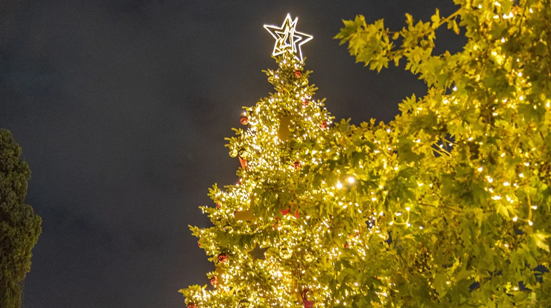 22 πράγματα να κάνετε τα Χριστούγεννα στην Αθήνα!