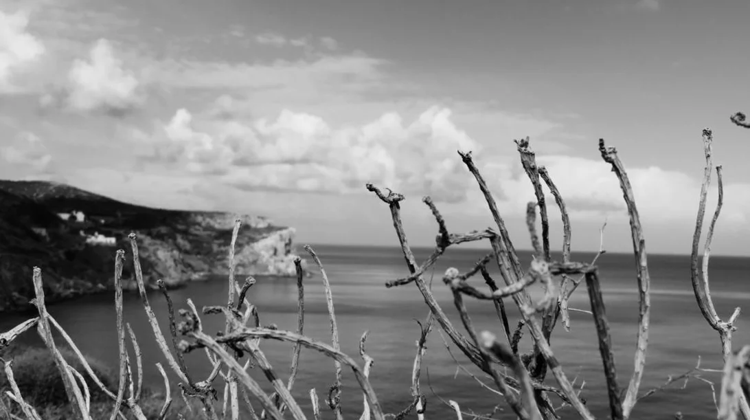 To Thees Art Festival στη Σίφνο "παντρεύει" την τέχνη με την παράδοση