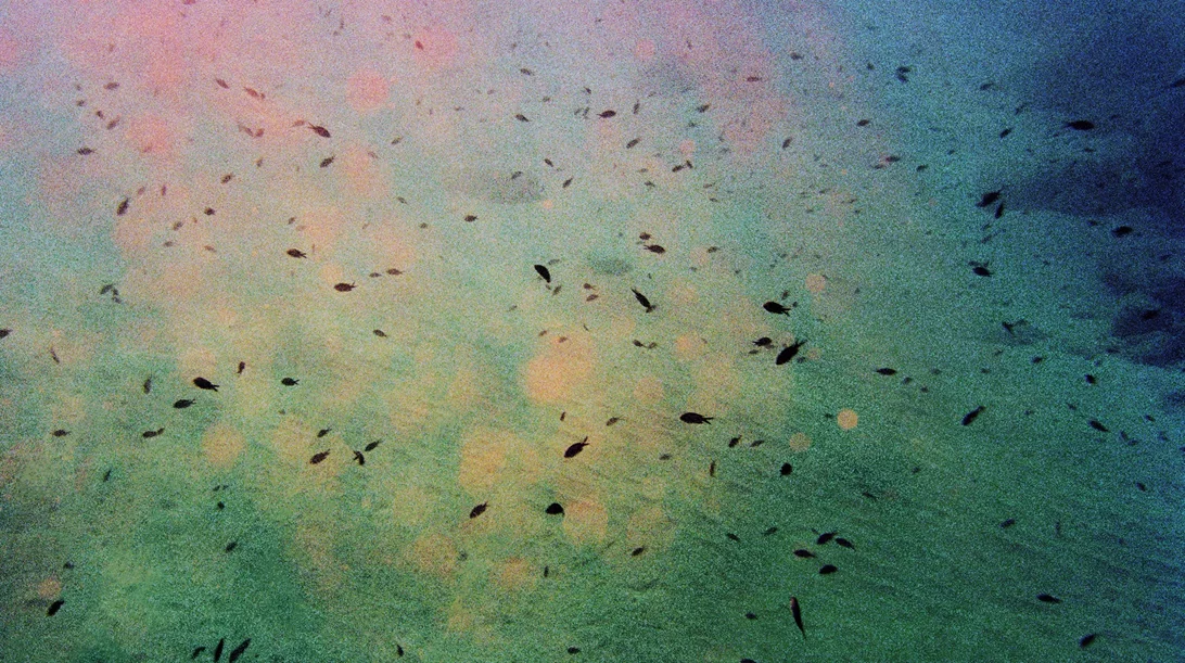 "Οι καστανοκόκκινοι βράχοι": Έκθεση φωτογραφίας του Clement Chapillon στο Γαλλικό Ινστιτούτο