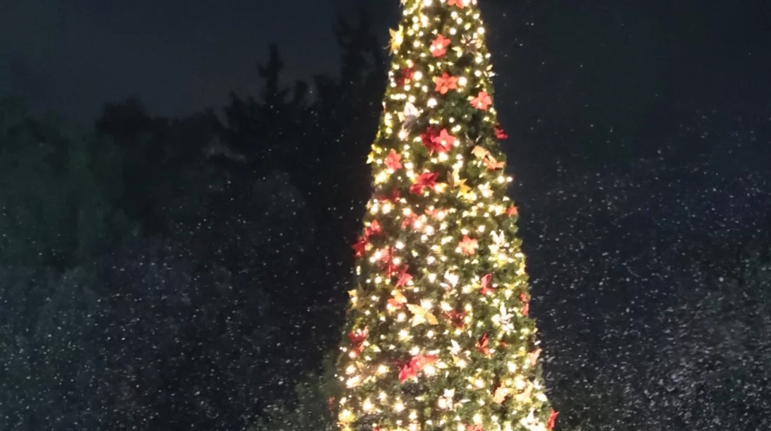 Περιφέρεια Αττικής: Φωταγωγήθηκε το Χριστουγεννιάτικο Δέντρο στο Πεδίον του Άρεως